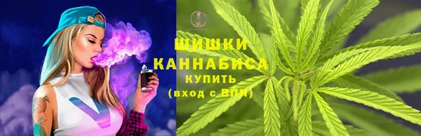 стафф Бородино
