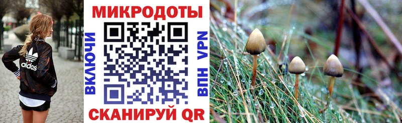 Галлюциногенные грибы ЛСД  Завитинск 